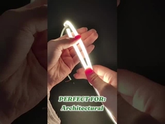 0808 چراغ نئون LED