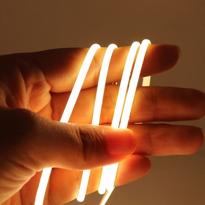 DC 24V LED COB Light Side Top Emitting CCT Dimmable 560Chips/M 16.4FT