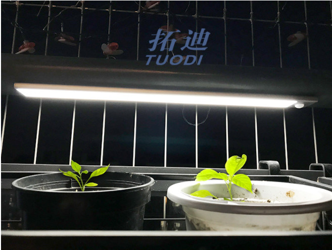 چراغ کابینت حسگر حرکت LED قابل شارژ قابل شارژ USB بی سیم نور کمد زیر پیشخوان